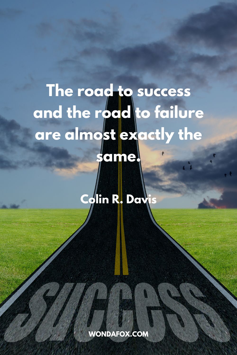 The road to success and the road to failure are almost exactly the same. Colin R. Davis