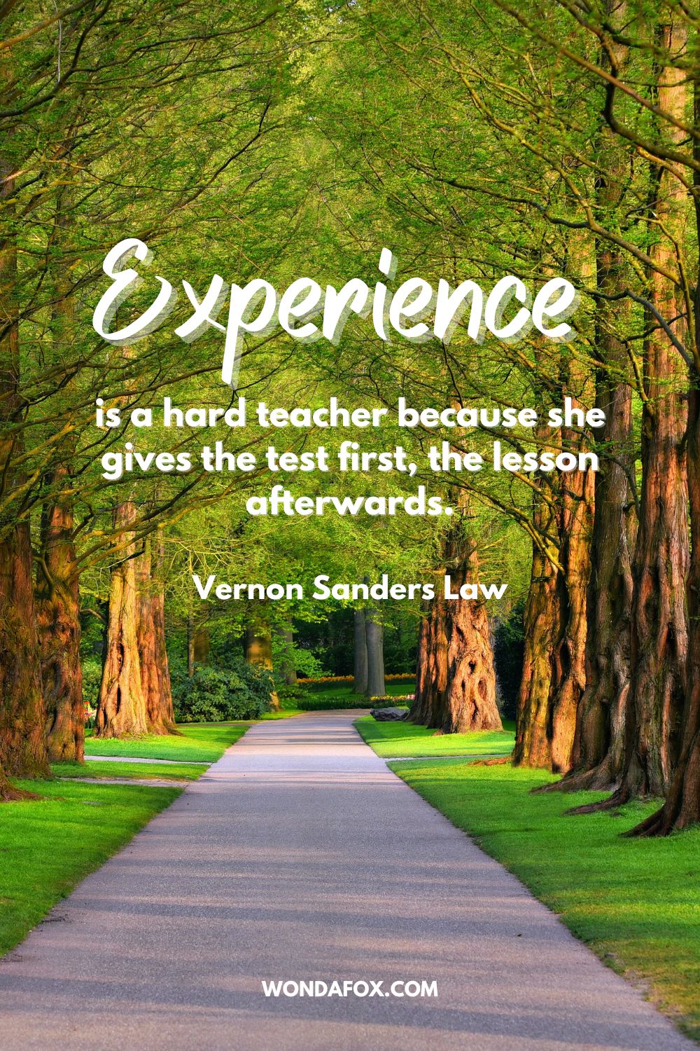 Experience is a hard teacher because she gives the test first, the lesson afterwards. Vernon Sanders Law