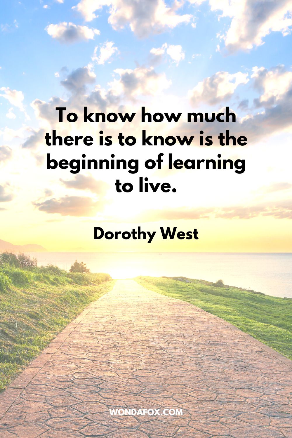 To know how much there is to know is the beginning of learning to live. Dorothy West