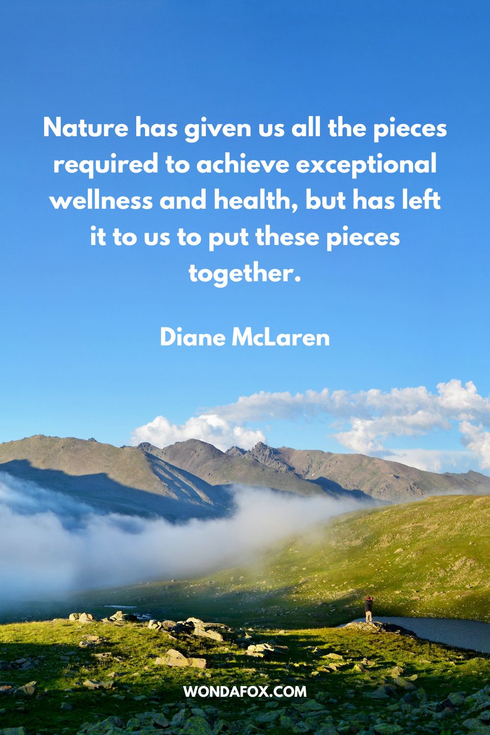 Nature has given us all the pieces required to achieve exceptional wellness and health, but has left it to us to put these pieces together. Diane McLaren