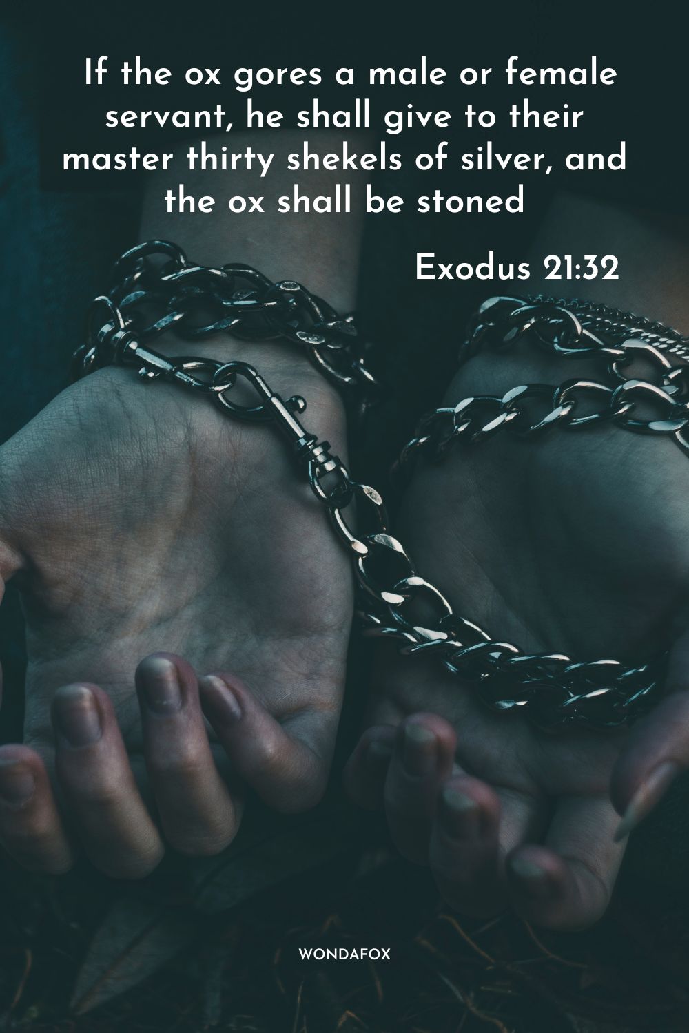  If the ox gores a male or female servant, he shall give to their master thirty shekels of silver, and the ox shall be stoned.
Exodus 21:32
