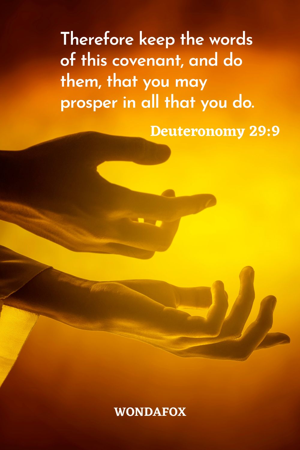 Therefore keep the words of this covenant, and do them, that you may prosper in all that you do.
Deuteronomy 29:9