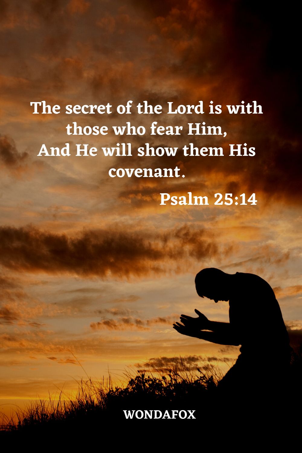 The secret of the Lord is with those who fear Him,
And He will show them His covenant.
Psalm 25:14