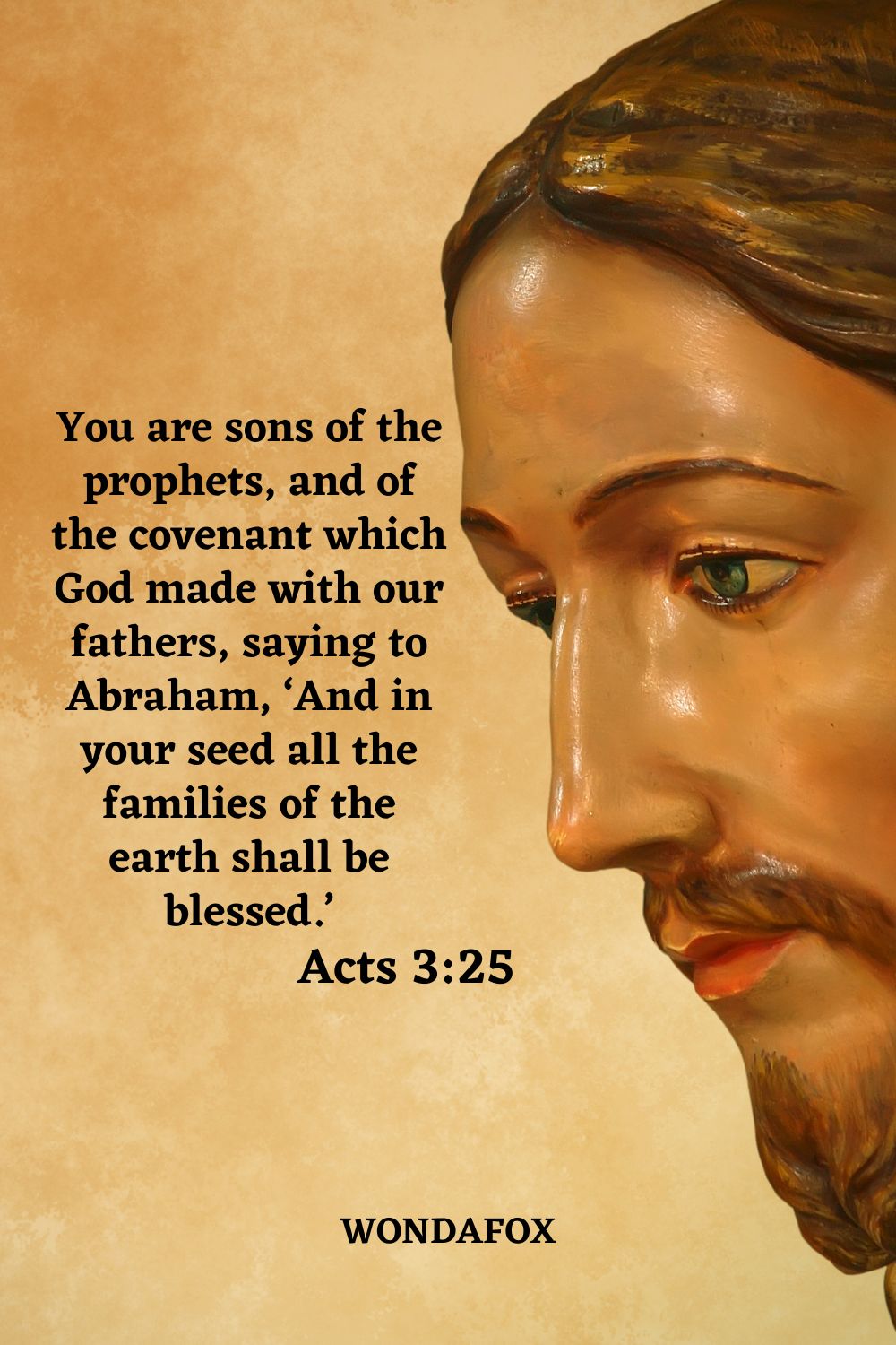You are sons of the prophets, and of the covenant which God made with our fathers, saying to Abraham, ‘And in your seed all the families of the earth shall be blessed.’
Acts 3:25