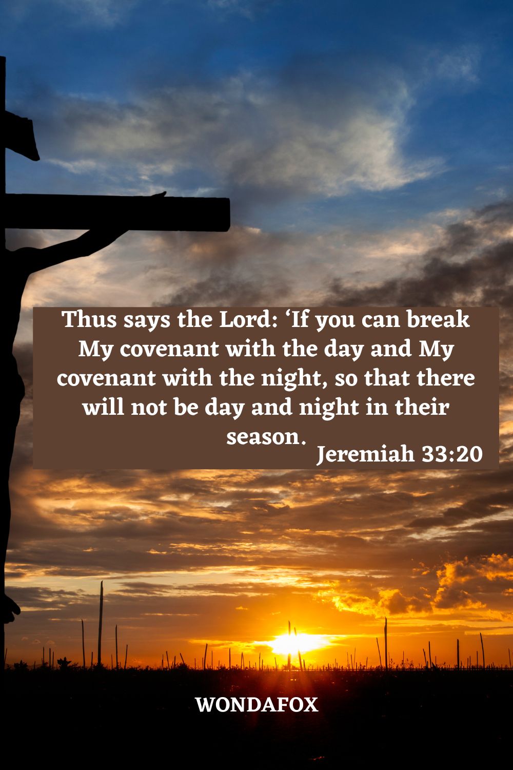 Thus says the Lord: ‘If you can break My covenant with the day and My covenant with the night, so that there will not be day and night in their season.
Jeremiah 33:20
