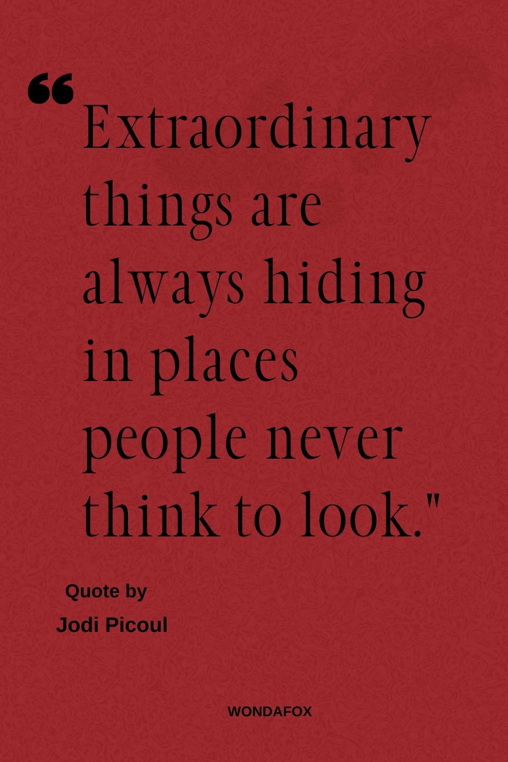 “Extraordinary things are always hiding in places people never think to look.”
Jodi Picoul