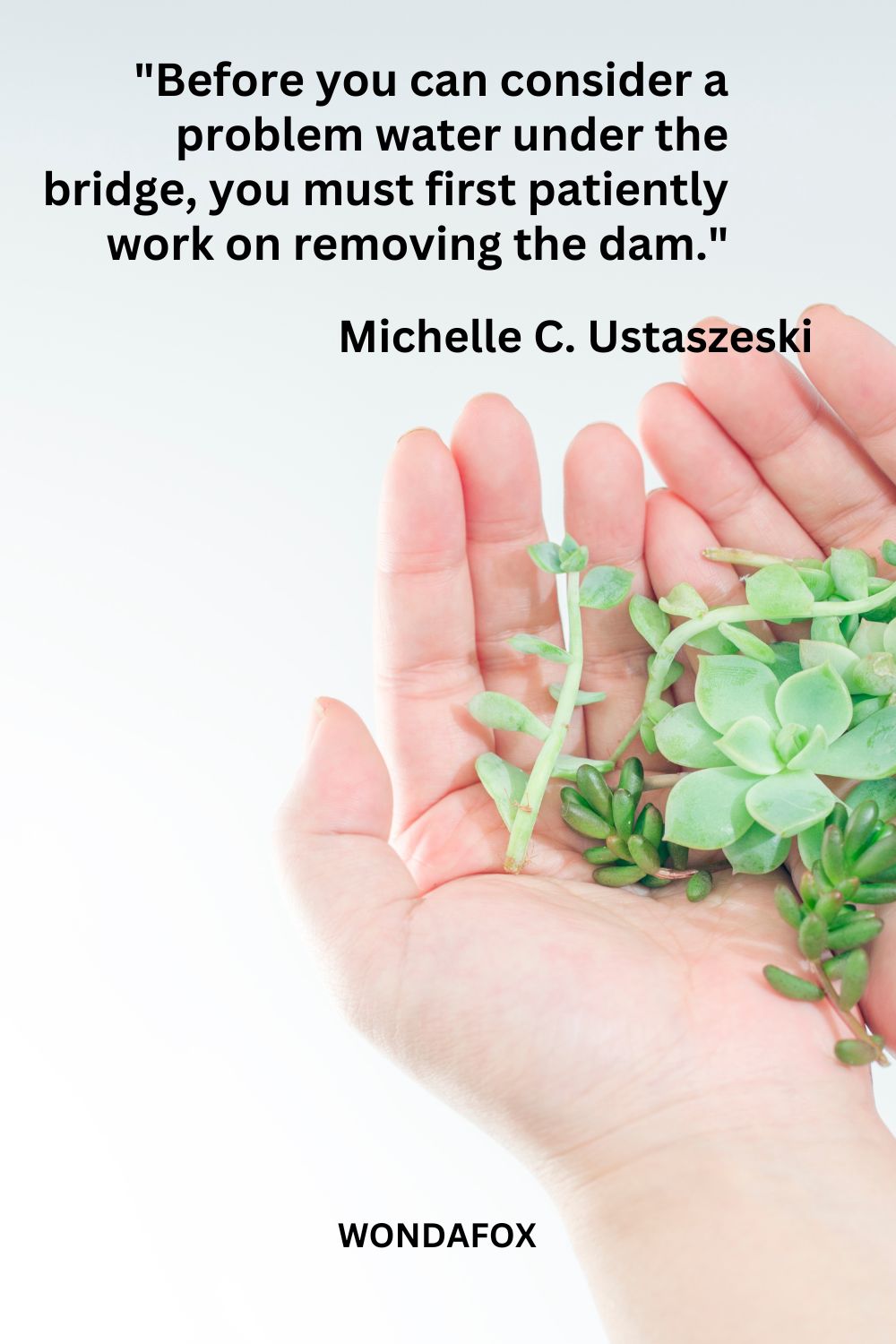 "Before you can consider a problem water under the bridge, you must first patiently work on removing the dam."
Michelle C. Ustaszeski