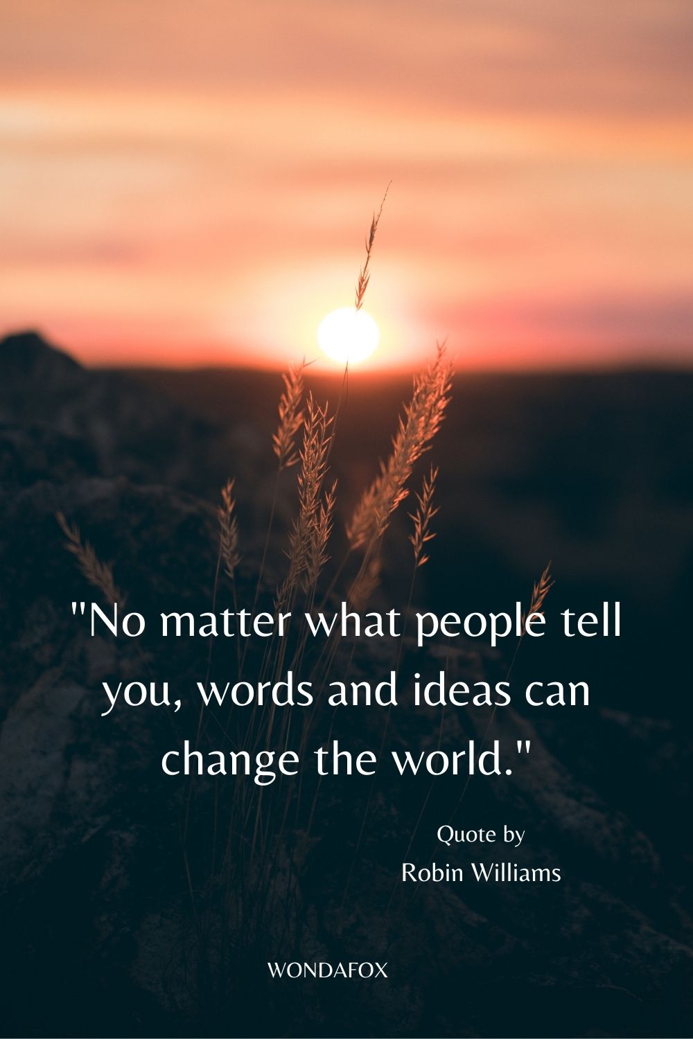 "No matter what people tell you, words and ideas can change the world."
Robin Williams