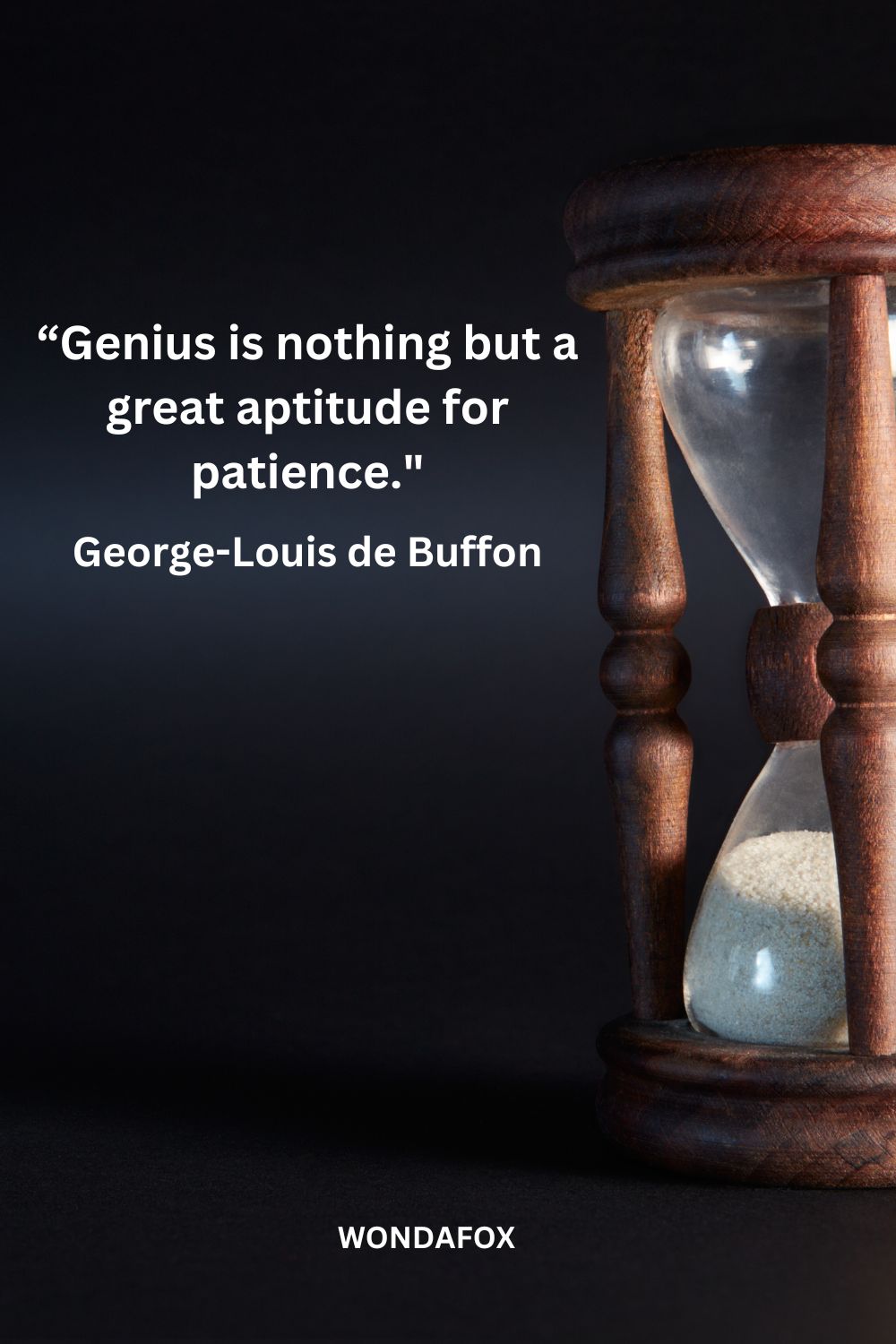 “Genius is nothing but a great aptitude for patience."
George-Louis de Buffon