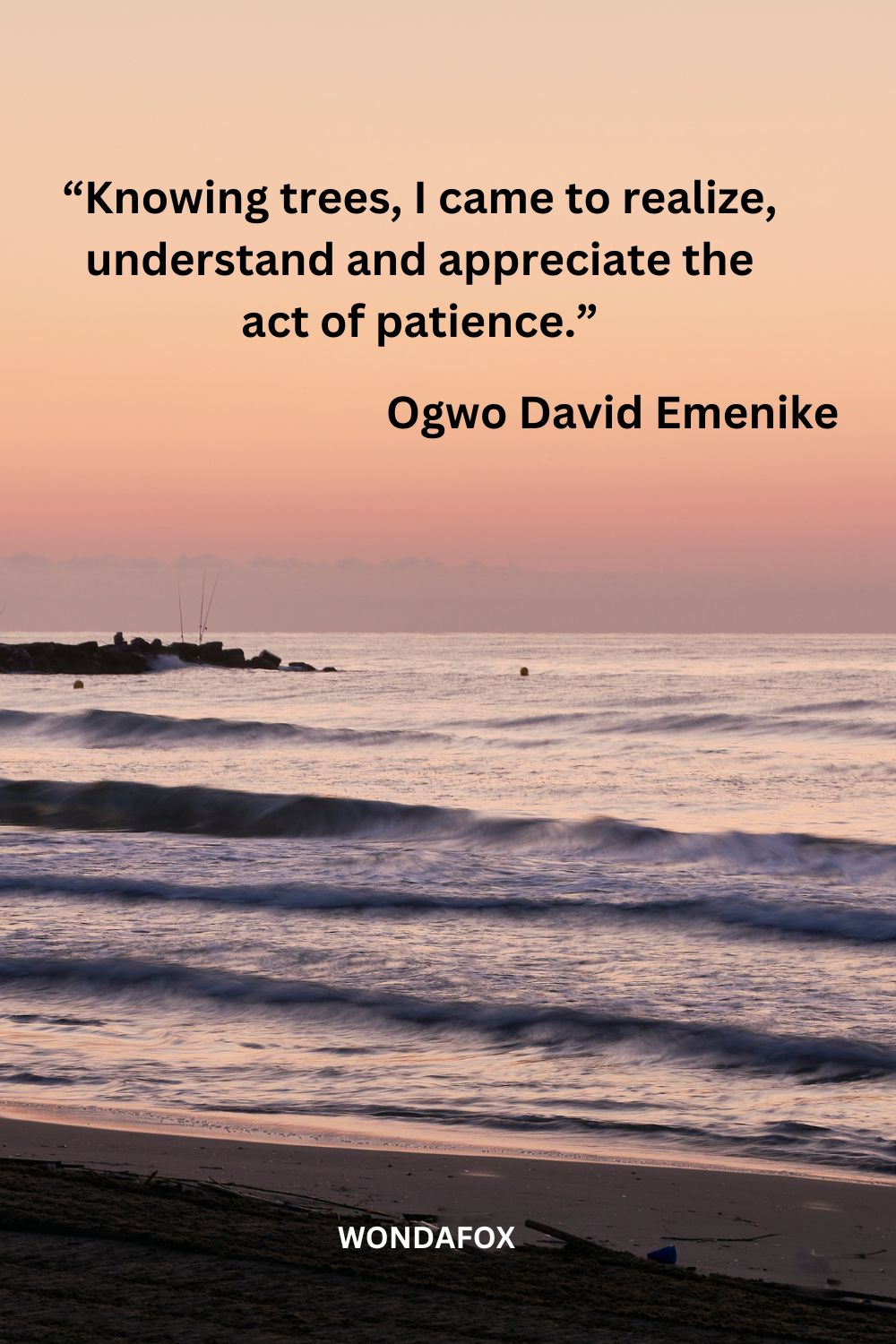 “Knowing trees, I came to realize, understand and appreciate the act of patience.”
Ogwo David Emenike