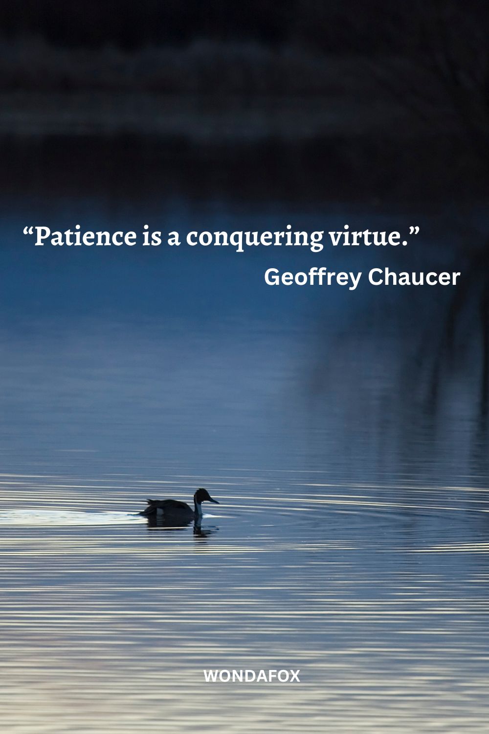 “Patience is a conquering virtue.”
Geoffrey Chaucer