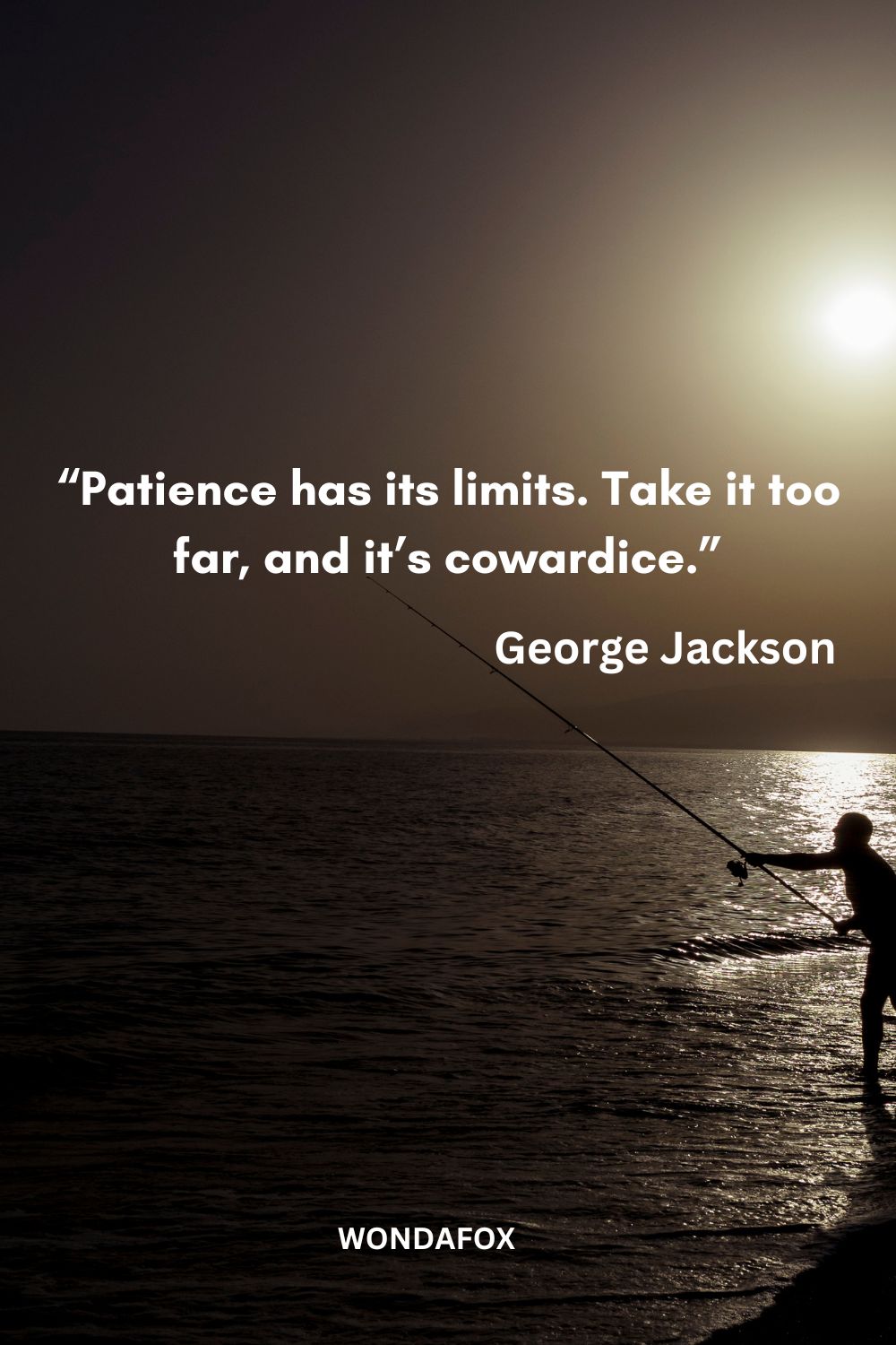 “Patience has its limits. Take it too far, and it’s cowardice.”
George Jackson