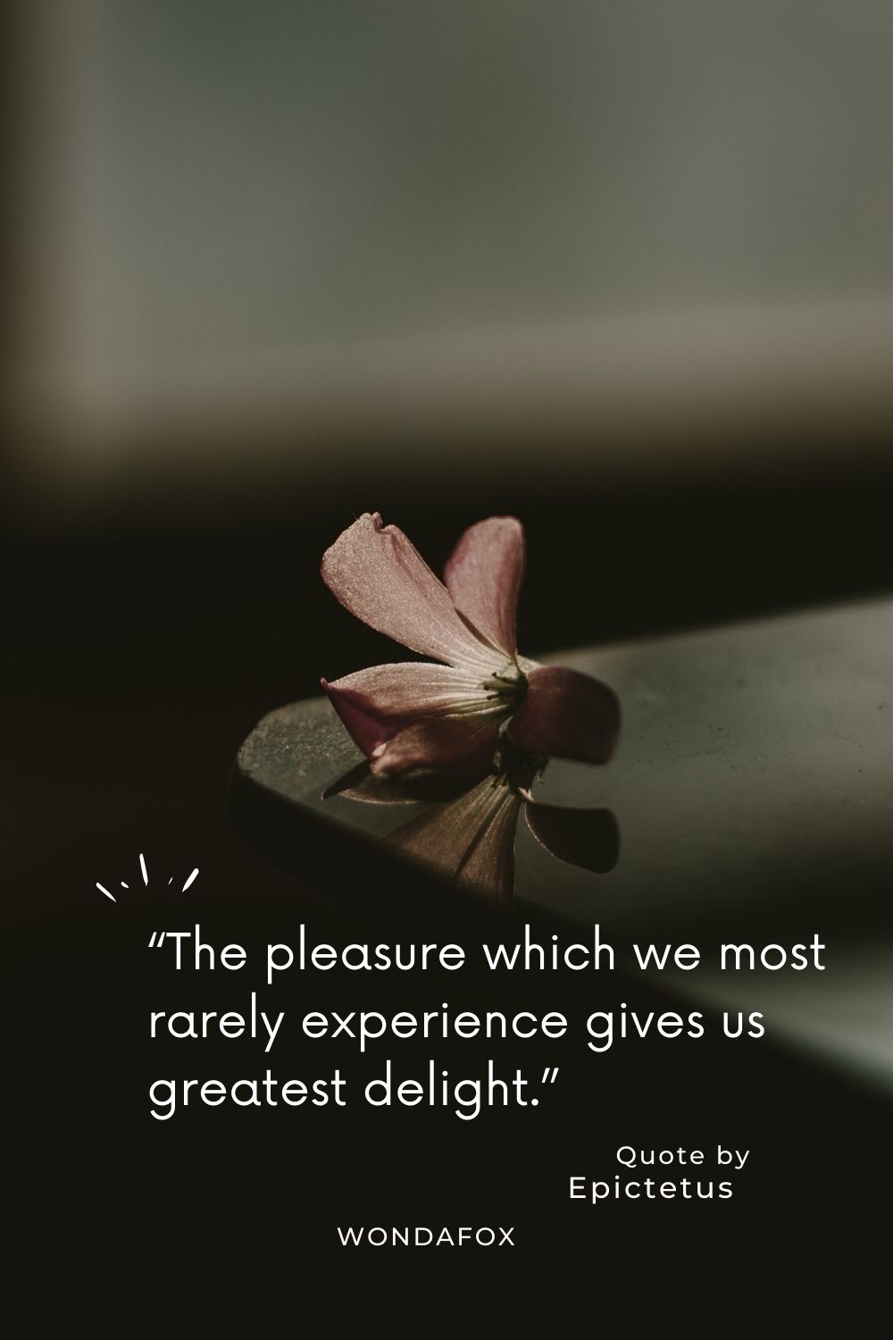 “The pleasure which we most rarely experience gives us greatest delight.”