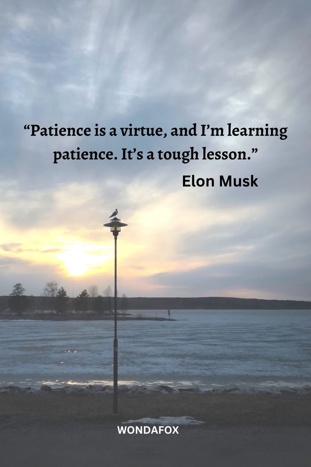 “Patience is a virtue, and I’m learning patience. It’s a tough lesson.”
Elon Musk