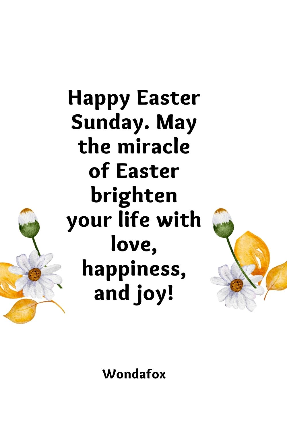 Happy Easter Sunday. May the miracle of Easter brighten your life with love, happiness, and joy!