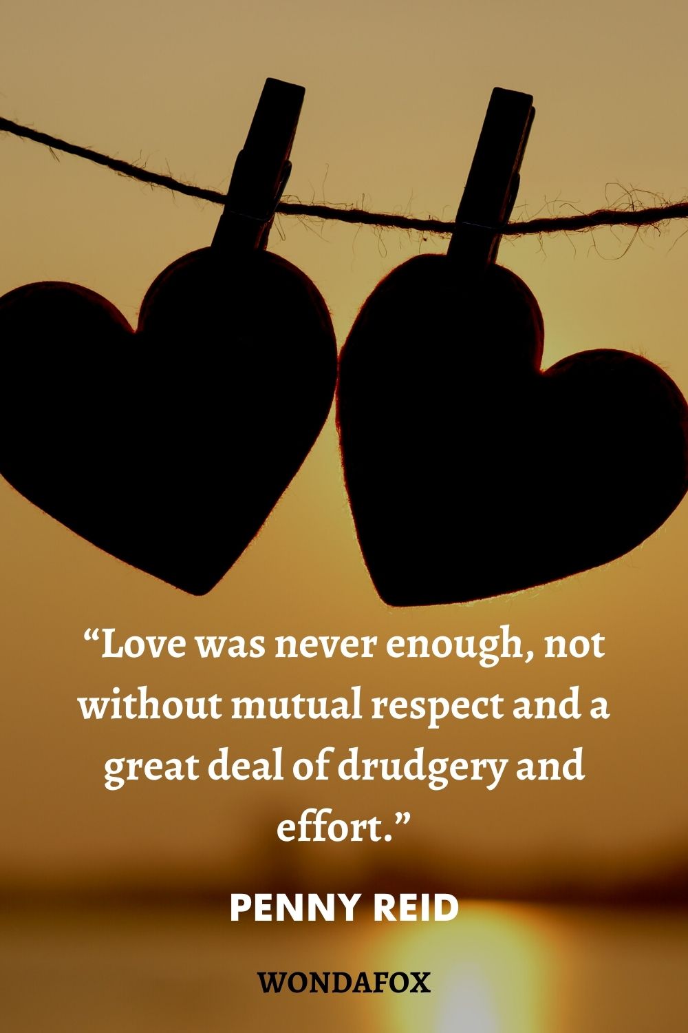 “Love was never enough, not without mutual respect and a great deal of drudgery and effort.”
Penny Reid