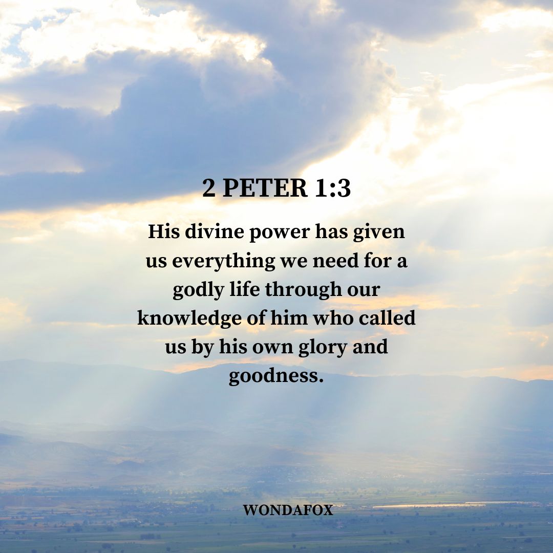 2 Peter 1:3
His divine power has given us everything we need for a godly life through our knowledge of him who called us by his own glory and goodness.