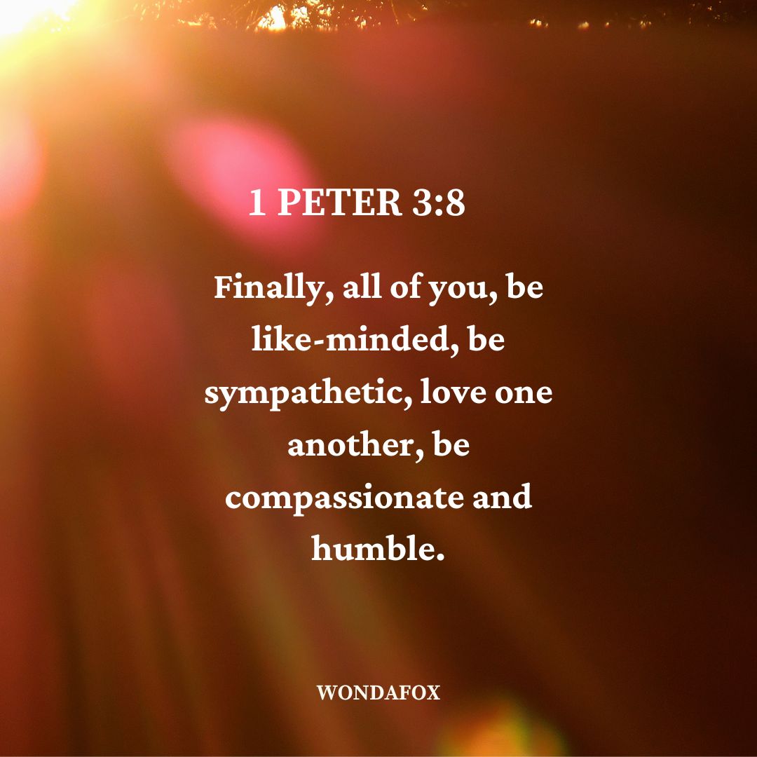 1 Peter 3:8
Finally, all of you, be like-minded, be sympathetic, love one another, be compassionate and humble.