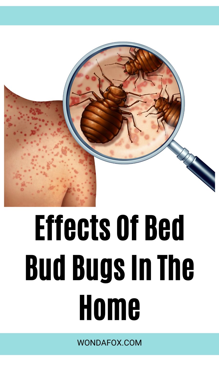 Effects of bed bugs in our homes