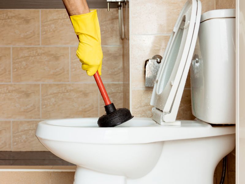 Ditch The Chemicals: A Guide To Homemade Toilet Cleaner